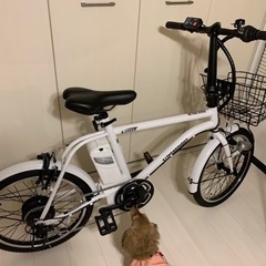 値下げ 電動自転車 ミニベロ 20インチ