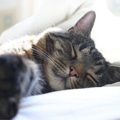 ストレッチしてぐっすり寝よう🛌