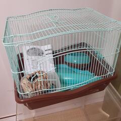 ハムスターのゲージの画像