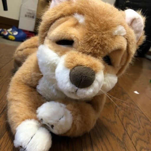 【取引中】お値下げしました(*^o^*)なごみケーションわんこ　話して会話するぬいぐるみロボット