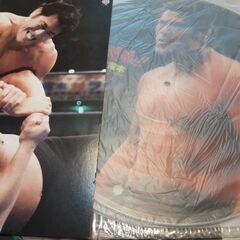 ☆美品　超レアもの　LPレコードまとめ　ブルースリー/アントニオ猪木/松田聖子の画像