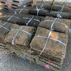 繁忙期出荷作業スタッフ募集‼️　週２～３回の画像