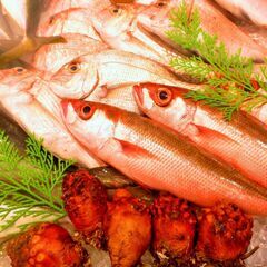 鮮魚スタッフ【寮完備】