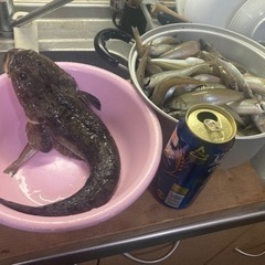 千葉　遠投投げ釣り、ボート釣り - 友達