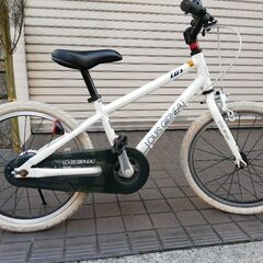 ルイガノアルミ 18型 幼児用自転車