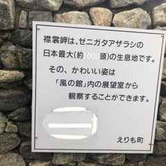 16日曜日か17日月曜日メッセージでも、お茶でも - 柏市