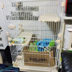 ほぼ新品 キャットケージの画像