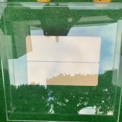 シャンパングラス 60個の画像