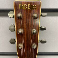 Cat's Eyes CE-250 エレアコ仕様 フィッシュマンPU搭載の画像