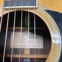 Cat's Eyes CE-250 エレアコ仕様 フィッシュマンPU搭載の画像