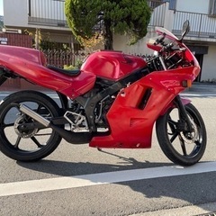 中免を取るので乗り換えのため売ります！ 配送料は地域によって変わります！の画像