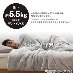 ニトリ　重い毛布 ひもなしらくらくカバー付き シングルの画像