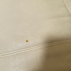 本皮ソファーの画像