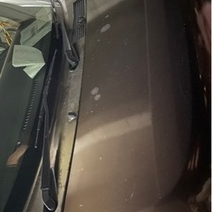 人気のミラココア 車検2年満タンの画像