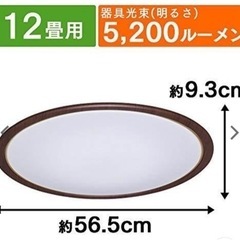 シーリングライト