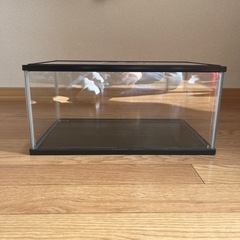 水槽、飼育ケースの画像