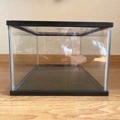 水槽、飼育ケースの画像