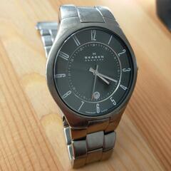 SKAGEN Titanium