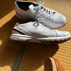 ゴルフ用スパイクレスシューズの画像