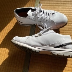 ゴルフ用スパイクレスシューズの画像