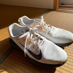NIKEゴルフシューズ