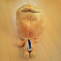 デールの帽子の画像