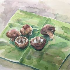 ゆるーく、楽しく、水彩画　メンバー募集中　初めてでも大丈夫、見学も大歓迎 − 埼玉県