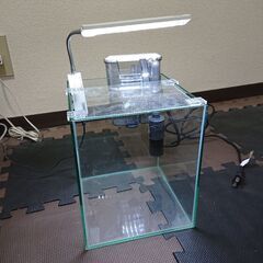 GEX水槽セット（ろ過器、照明器具、フィルター）の画像