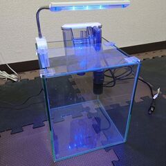 GEX水槽セット（ろ過器、照明器具、フィルター）の画像