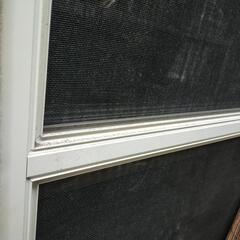 網戸枠　白　の画像