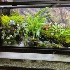 ☆杜のメダカ☆★渓流魚飼育にオススメ！！完成品★9045 エキゾ...