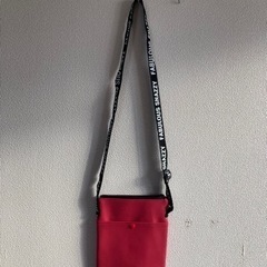 【値下げ‼︎】単行本サイズショルダーバッグの画像