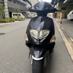 PGO T-REX125(取引決定)