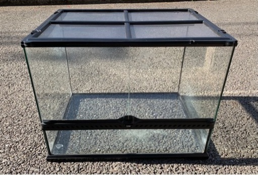 【中古美品】グラステラリウム 6045 GEX エキゾテラ