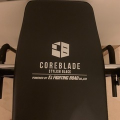 ファイティングロードのキングスセットとシャフト、プレートセットの画像