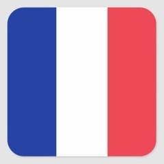 フランス語教えます　3,000円/時