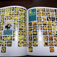 花づくし6冊　四季花ごよみ5冊セットの画像