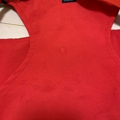 【日本正規品】キャリーフリー　チェアベルト　赤の画像