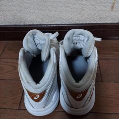 バスケットシューズ22cmの画像