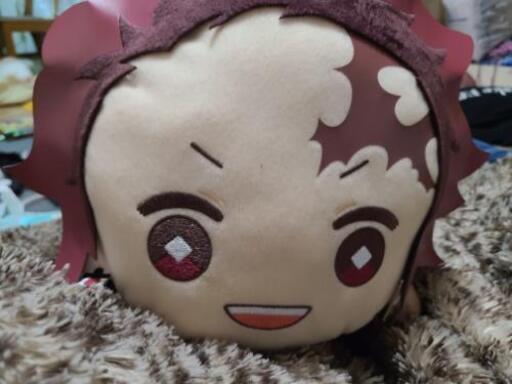 たんじろうぬいぐるみ