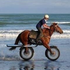 ツーリング仲間募集しています！ - その他