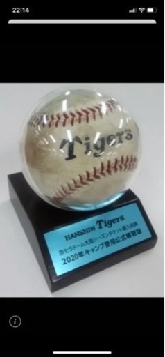 阪神タイガース　キャンプ使用　公式練習救
