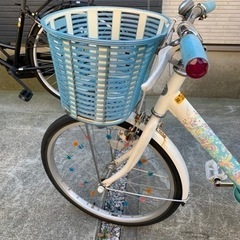 エコパル　20インチ　ブルーの画像