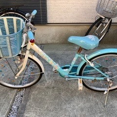 エコパル　20インチ　ブルー