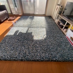 IKEA カーペット