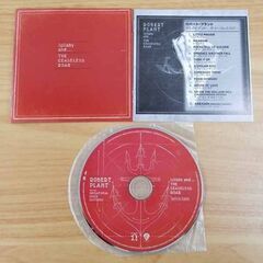 CD ROBERT PLANT ロバート・プラント lillaby and ... THE CEASELESS ROAR 札幌 西野の画像