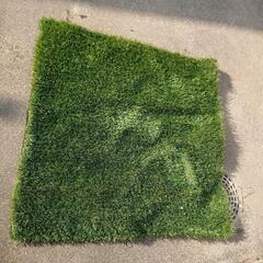人工芝の画像