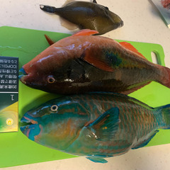 沖縄の釣り友募集しまーす^_^ - メンバー募集