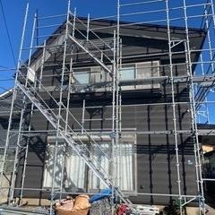 足場トビ