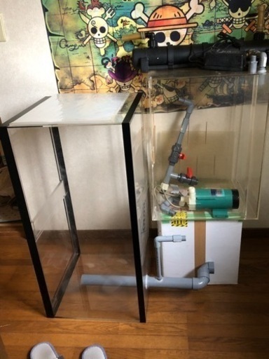 引き取り、90センチオーバーフロー水槽セット